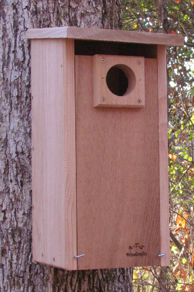 Northern Flicker Nestbox-cedar-northern-flicker-nestbox-USA – Backyard Life